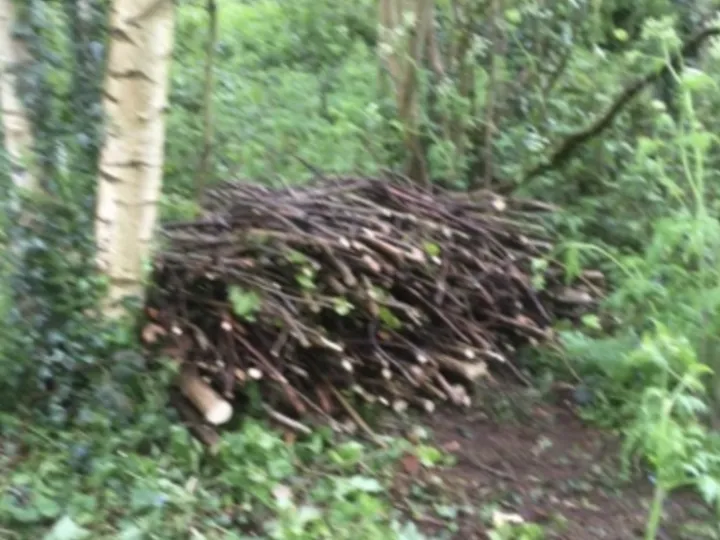 ADAS log pile