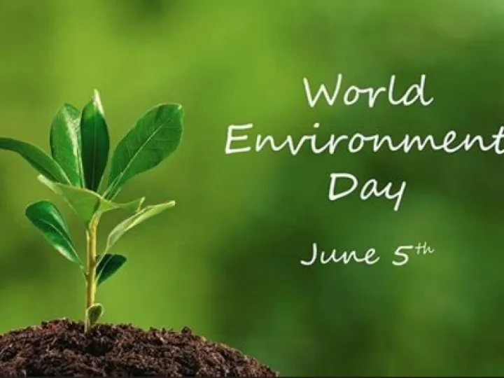 World Environment day