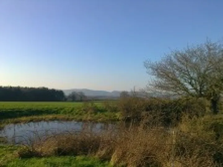 Bulkeley & Ridley Countryside 1