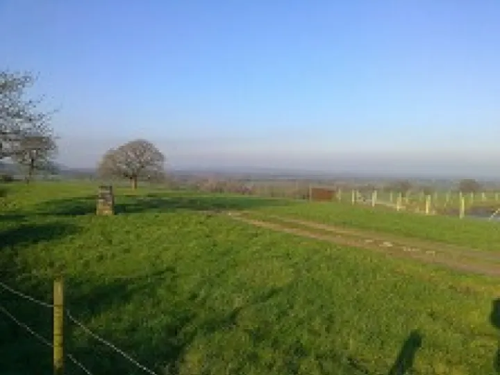 Bulkeley & Ridley   Countryside 2
