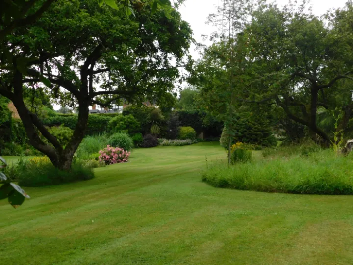 chriss garden