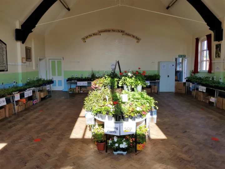 Plant Fair 1