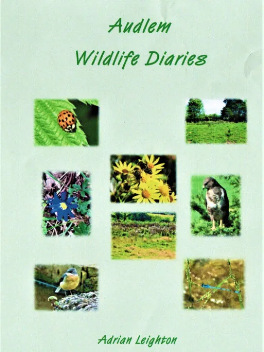 Book Cover (1)