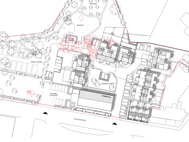 Flora Plan Jan 2022