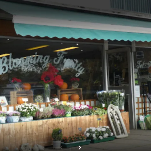 Blooming Fruity