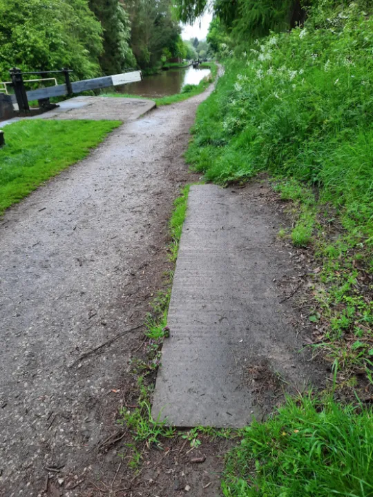 Missing canal Bench
