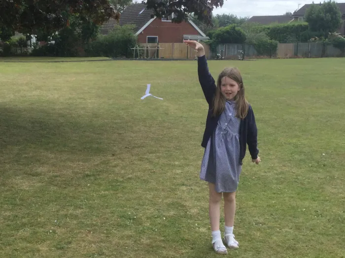 Seed dispersal