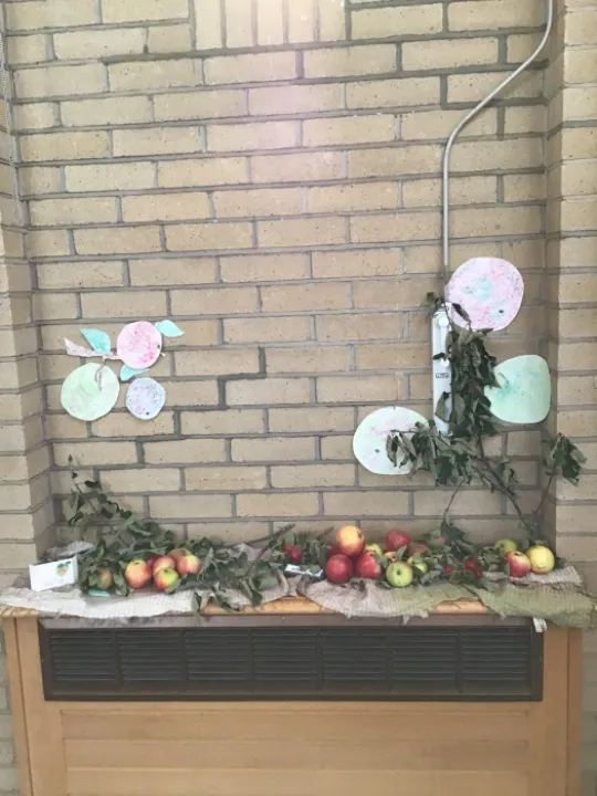 Harvest Apples 2