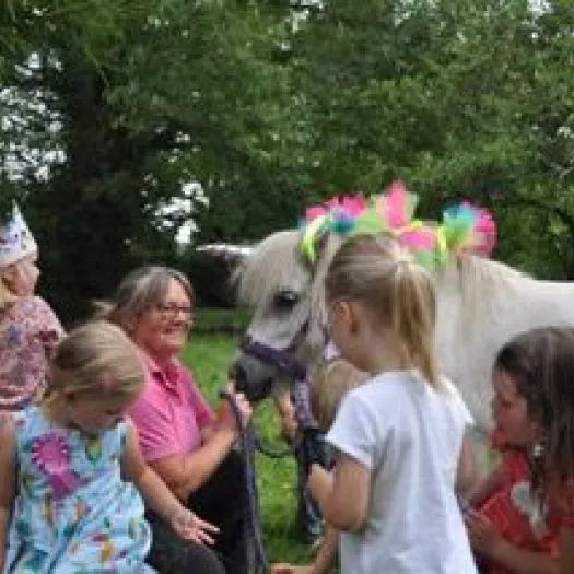 Cheshire Pony parties