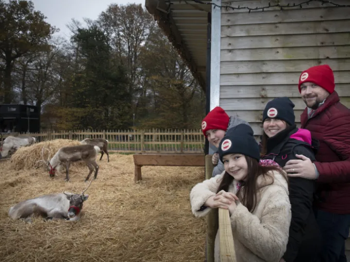 reindeer 4