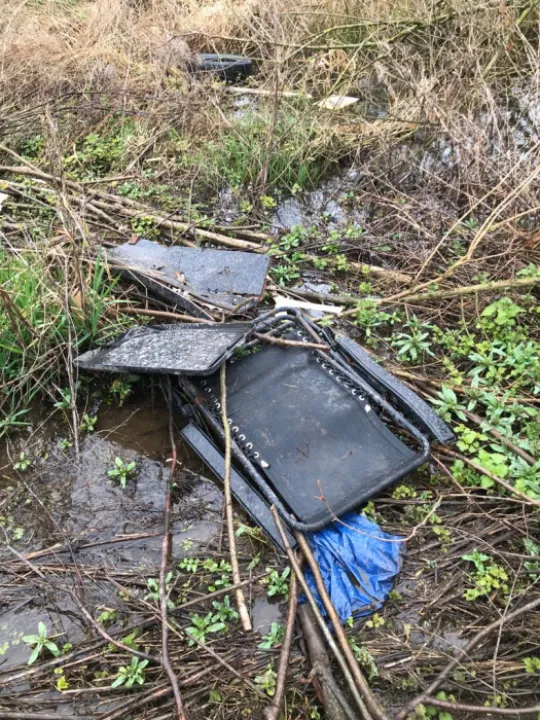 Litter 1