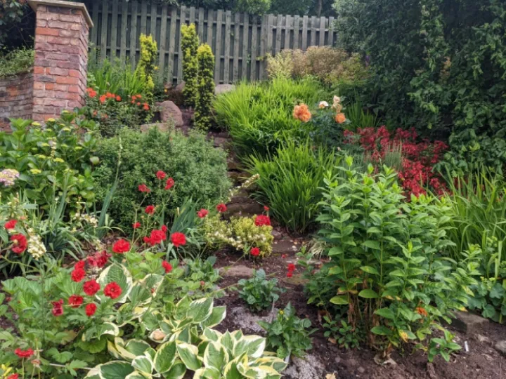NGS Burton 4