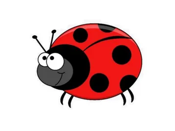 Beetle Drive 2