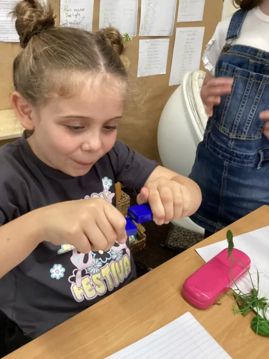 Y3 Science Forces2