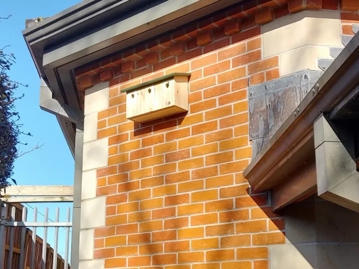 Edited Birdbox