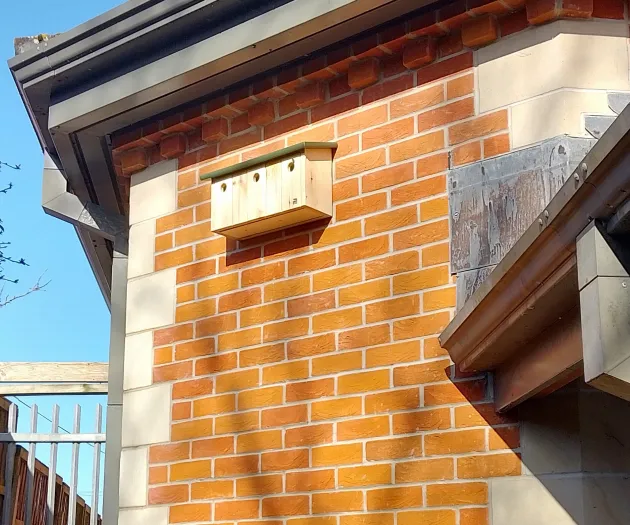 Edited Birdbox
