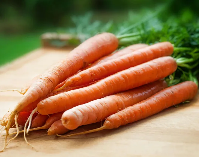Orange Carrots on Table