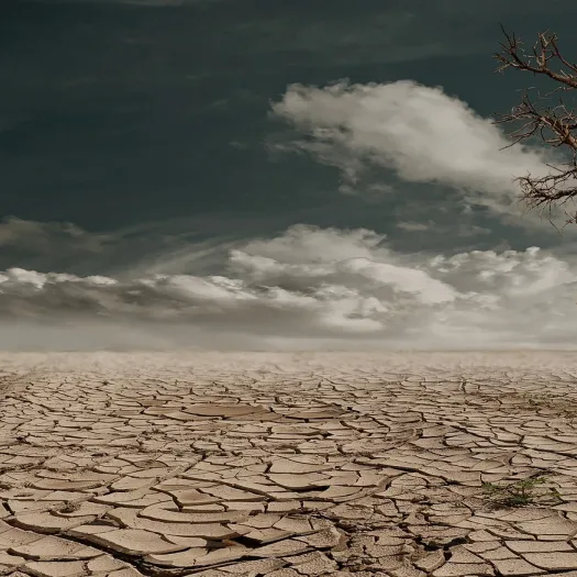 A barren landscape