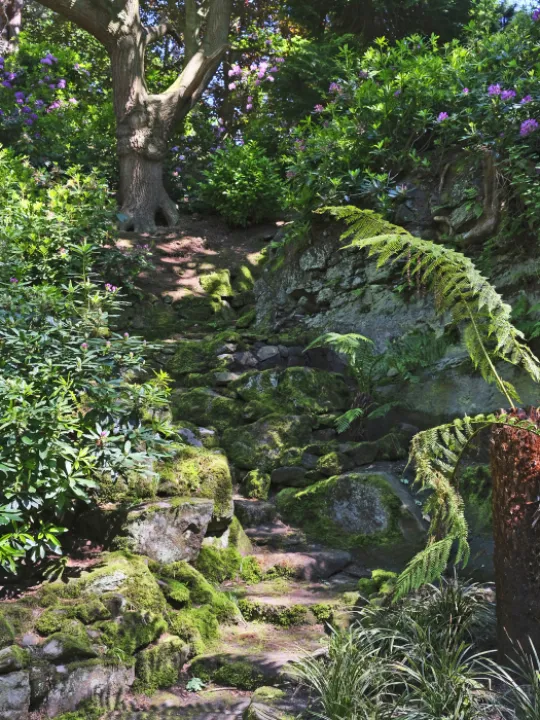 Shady Steps.