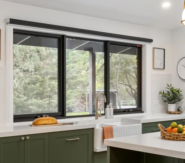 Window in Kitchen