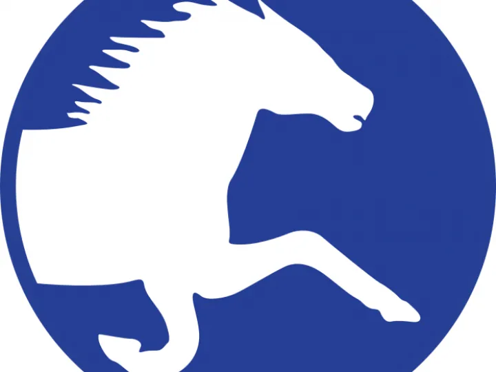 adca horse