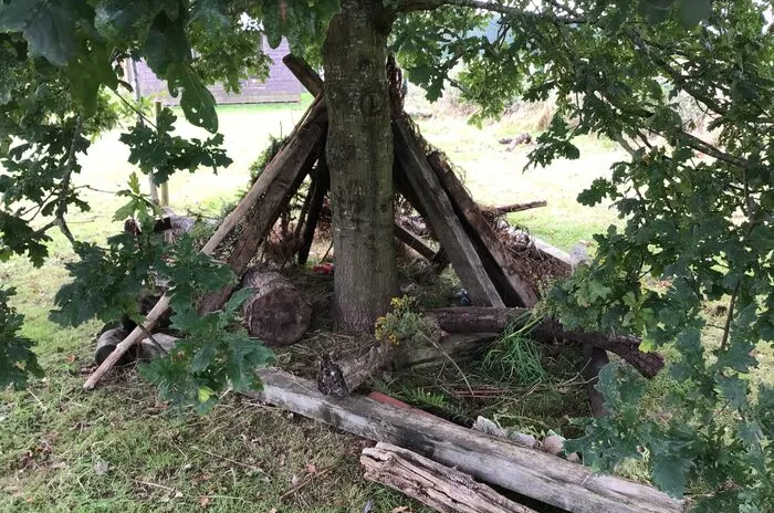 Forest School 1