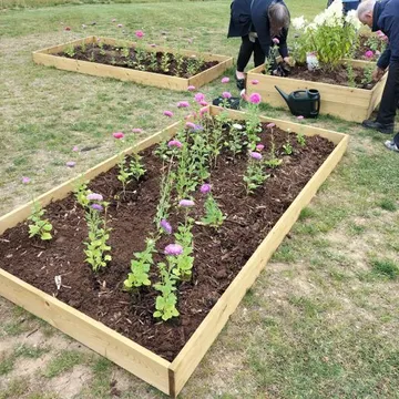 Gerald Dixon Community Garden 4