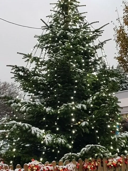 Xmas Tree 2