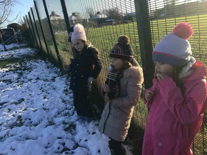 Forest school
