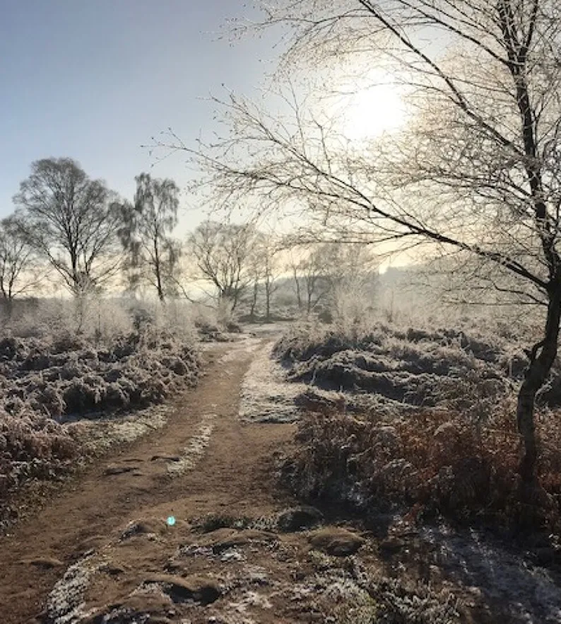 Bickerton Hill