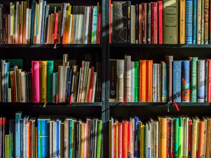 Vibrant collection of books on shelves for reading, research, and education.