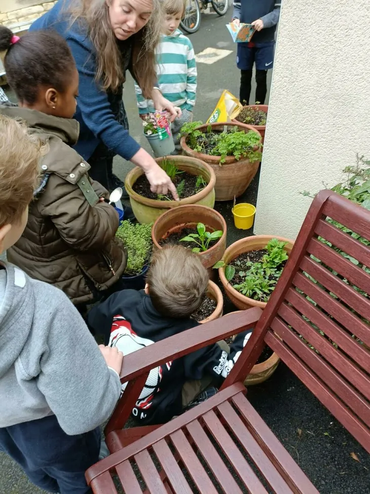 Eco Church Garden