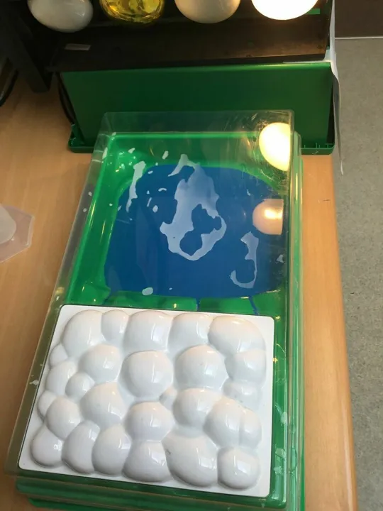 Y4 Water cycle 20.6