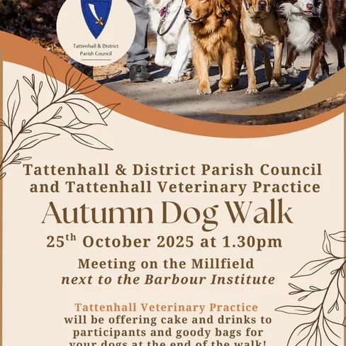 Autumn Dog Walk