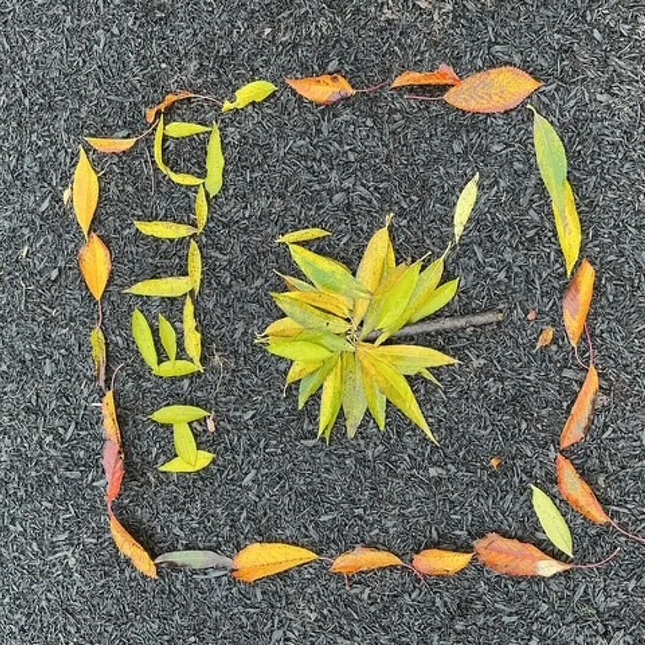 Fs