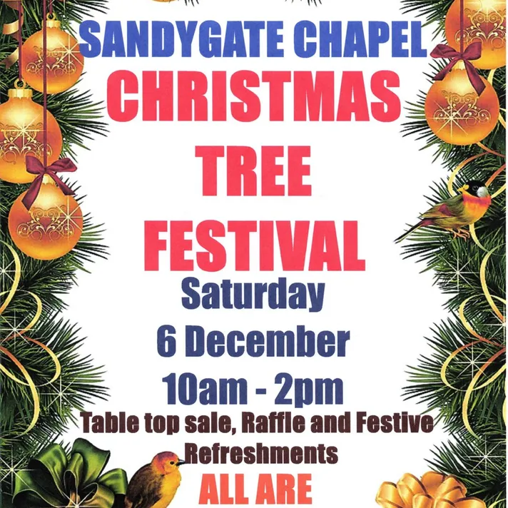 Sandygate Xmas Trees