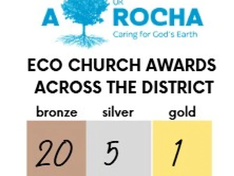 Eco Numbers 25.11.2025