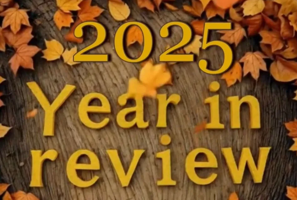 2025 review