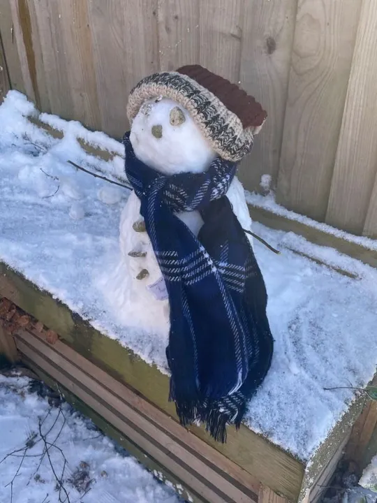 Snow Day