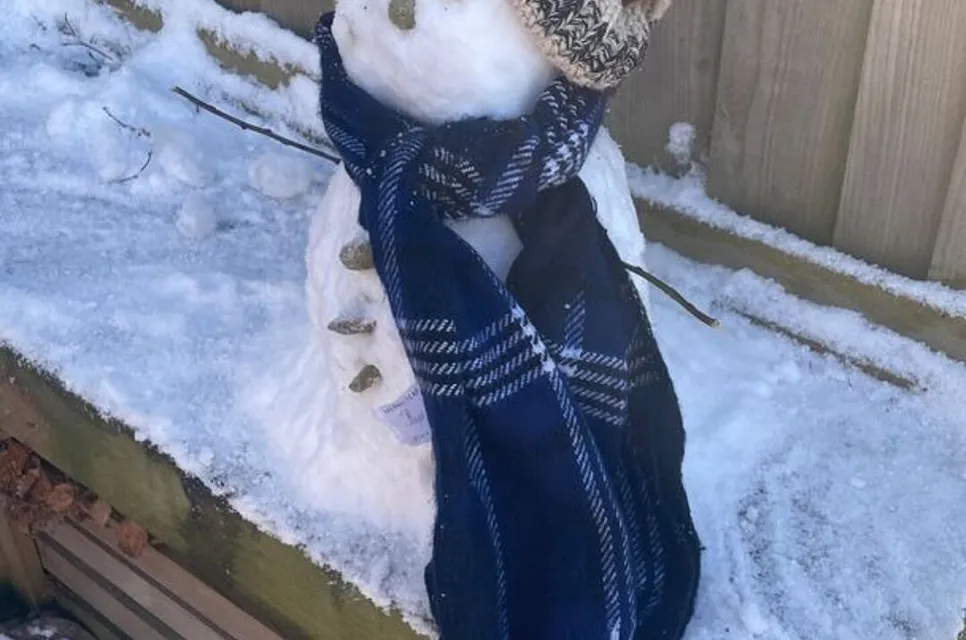 Snow Day