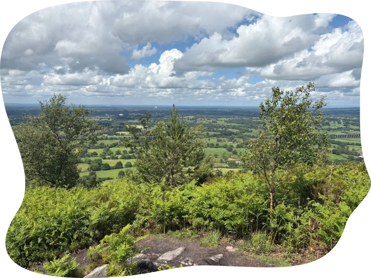 Expansive view of green countryside from
