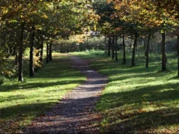 Tarvin Community Woodland