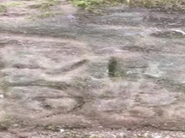 Peckforton Mill Two (1)