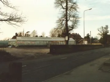 Nursery site view 6