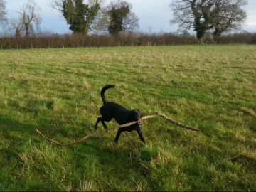 Image: 20200128_093649