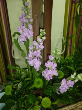 FC Feb 2020 P1030847