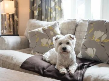 Comberemere Abbey Dog Friendly Cottages