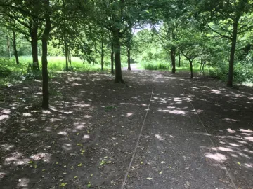 Tarvin Woodlands, Broomheath end