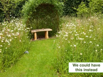 wildlife-meadow-willow-shelter