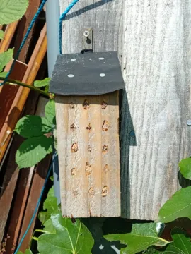 Bug Hotel